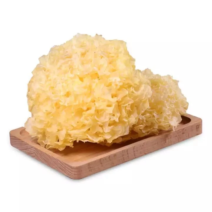 Tremella Powder