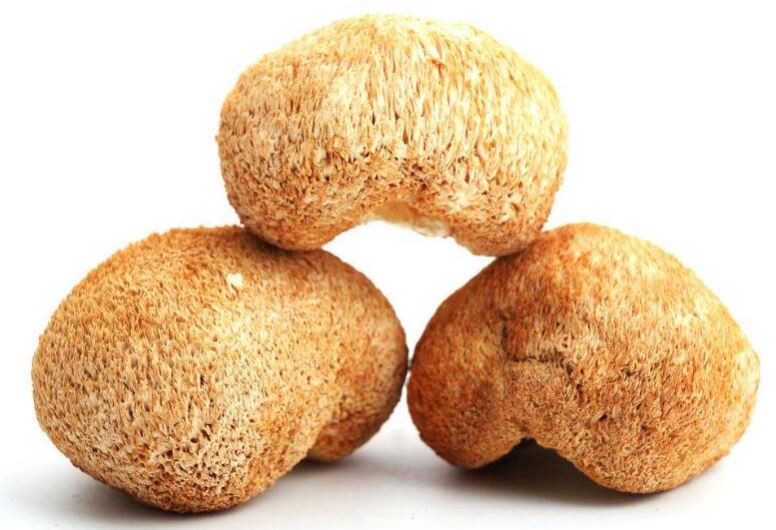 Pure lion s mane mushroom powder